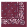 Französischer Bandana-Seidenschal 50 Französischer Bandana-Seidenschal 50